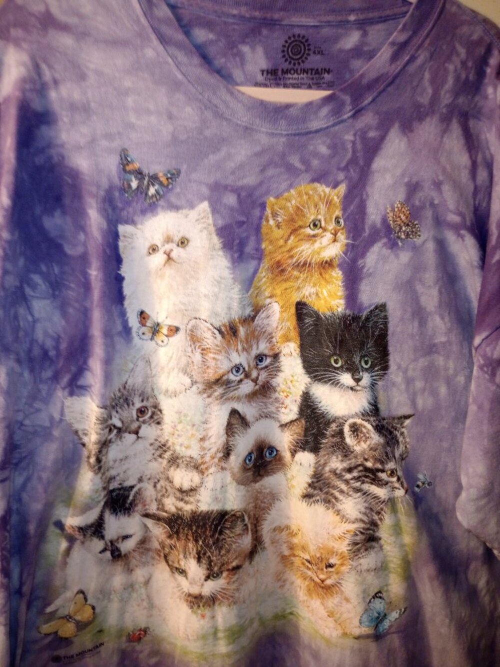 The Mountain - Adorable Kittens 2011 - Tie Dye - Men's 4X - Picture 2 of 3